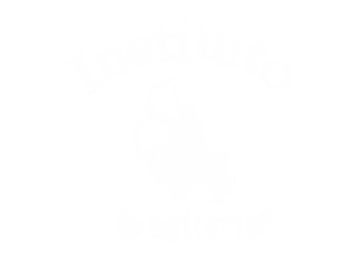 Instituto Sagitario